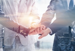 承担中德政府间合作专项项目。